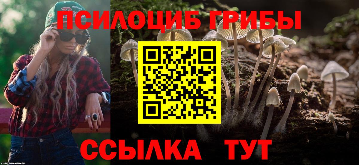 Псилоцибиновые грибы мухоморы  Псилоцибиновые грибы Psilocybine cubensis  Магнитогорск  Вход с VPN 